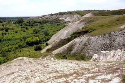 Новый заповедник появится в Воронежской области