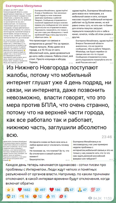 Источник: Екатерина Мизулина / Telegram