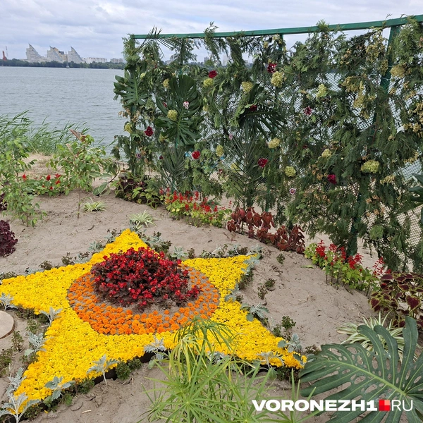 Источник: Алёна Воропаева / Voronezh1.ru