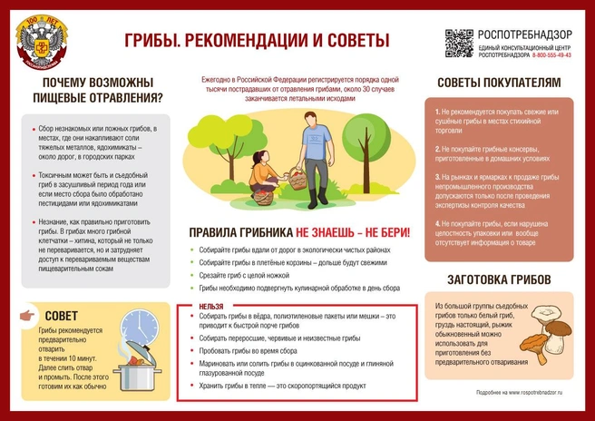Как не отравиться грибами — памятка от Роспотребнадзора | Источник: Роспотребнадзор / rospotrebnadzor.ru