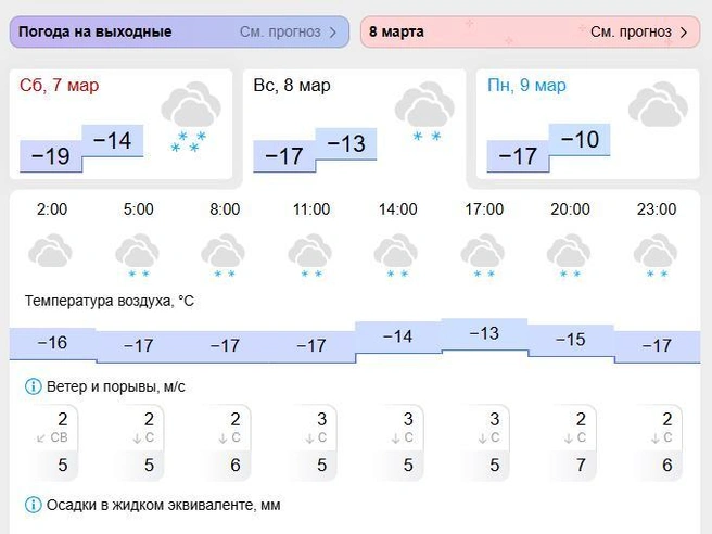 Снег ожидается в течение всего дня. | Источник: gismeteo.ru