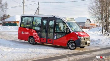 В парке «Транзита» только микроавтобусы. С 2024 года для него покупают низкопольную модель Газель City | Источник: Владимир Зыкин