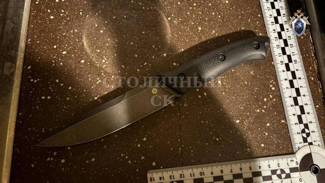 Источник: Столичный СК / T.me