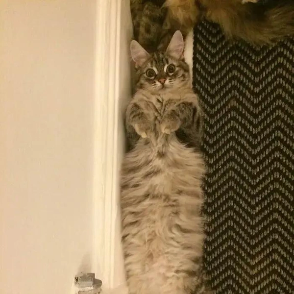 Источник: соцсети