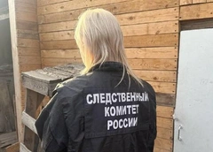 Не хватило сил на еще одно убийство: допрос 29-летней матери, которая расправилась с тремя детьми в Канске