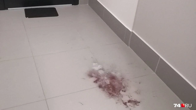 Перед дверью вот такое пятно, оно чем-то присыпано | Источник: Светлана Талипова