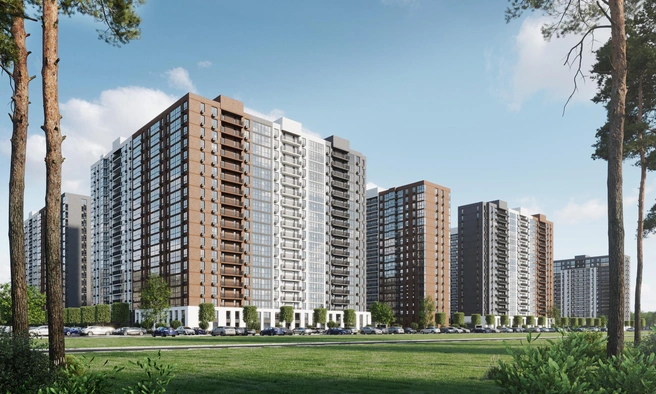 Источник: официальный сайт администрации Ростова-на-Дону / rostov-gorod.ru