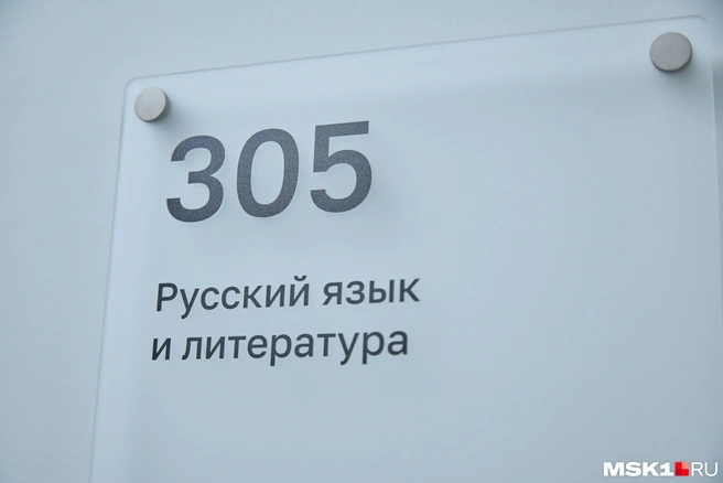 Образовательные курсы по приемлемой для иностранцев цене и обязательное тестирование должны улучшить ситуацию | Источник: Дмитрий Толстошеев / MSK1.RU