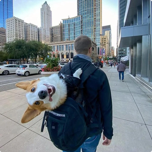 Источник: соцсети