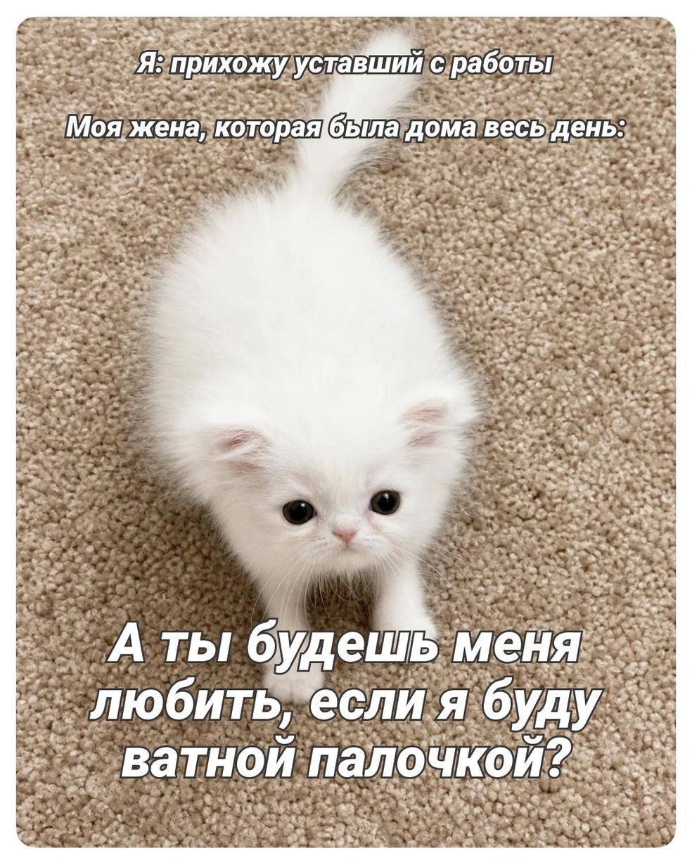 Действительно, важный вопрос | Источник: Городские медиа