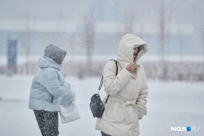 Метель началась в городе неожиданно | Источник: Александр Ощепков / NGS.RU