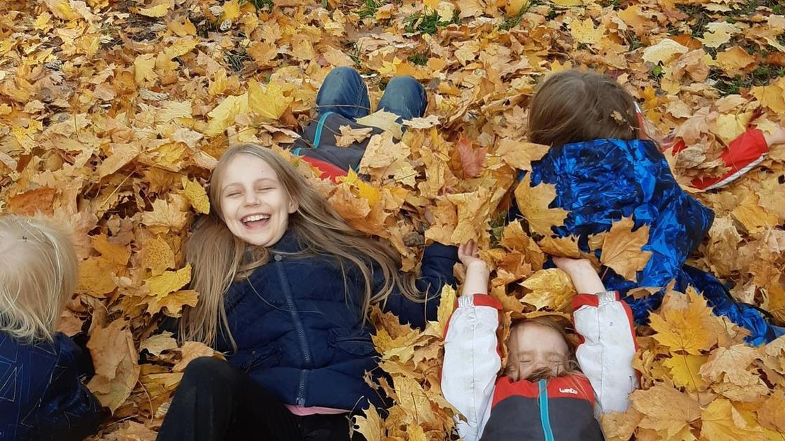 Евгений Тепляков: «Алиса может учить ваших умственно отсталых 18-летних детей»