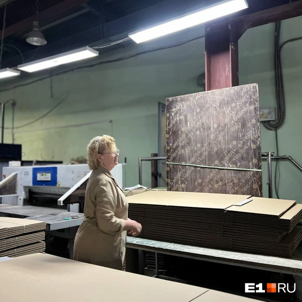 Источник: E1.RU