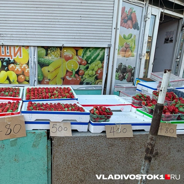 Источник: Елена Буйвол / VLADIVOSTOK1.RU