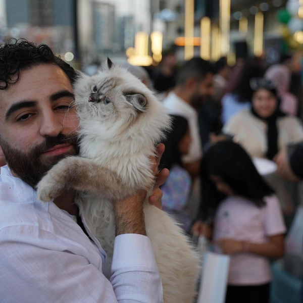 Источник: Fariq Faraj Mahmood/Anadolu via Getty Images