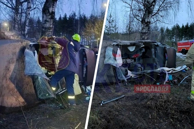 Авария в Ярославле: BMW на летней резине врезалась в дерево