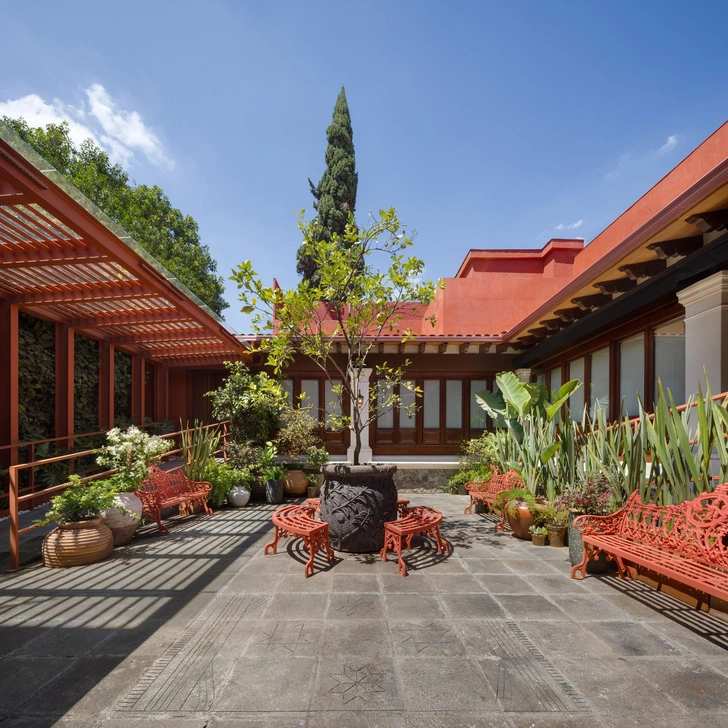 В доме семьи Фриды Кало в Мехико открылся музей художницы