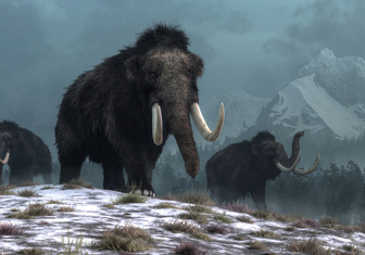 Названа причина вымирания мамонтов в Сибири