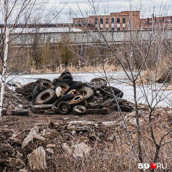 Свалка шин | Источник: Тимофей Калмаков / 59.RU