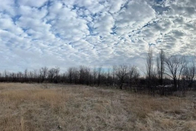 Два заброшенных стадиона в Каменске-Шахтинском продадут