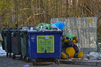 Экоинтегратор не одобрил флешмоб властей по мусору