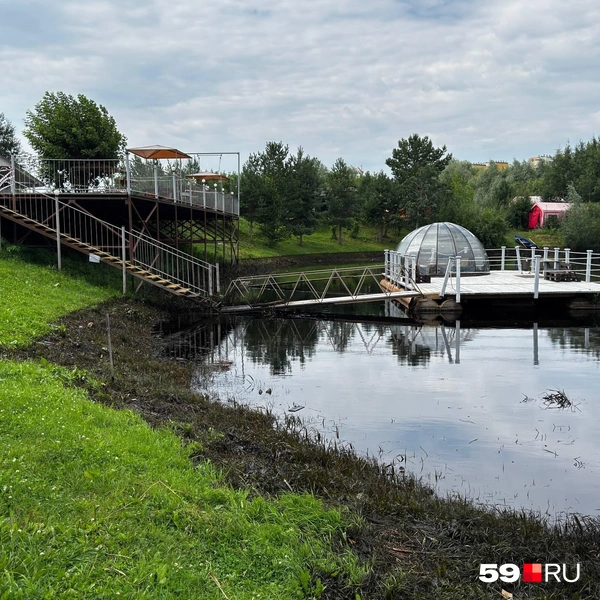 Трава на метр или два покрыта нефтепродуктами | Источник: Алексей Кожевников / 59.RU