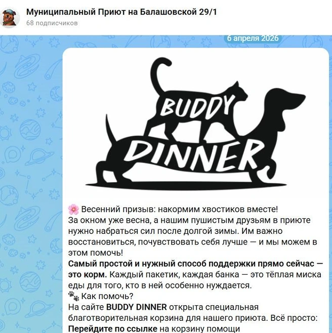 Кстати, непонятно, почему псов в муниципальном приюте нужно кормить на пожертвования, ведь бюджет выделен в том числе и на корма | Источник: Муниципальный приют на Балашовской 29/1 / max.ru