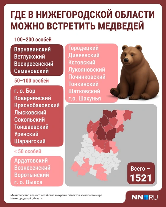 Источник: Серафима Пантыкина / Городские медиа