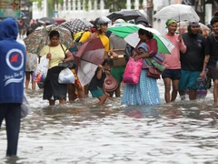 Россияне заперты в гостиницах на Шри-Ланке из-за стихийного бедствия — страшные кадры
