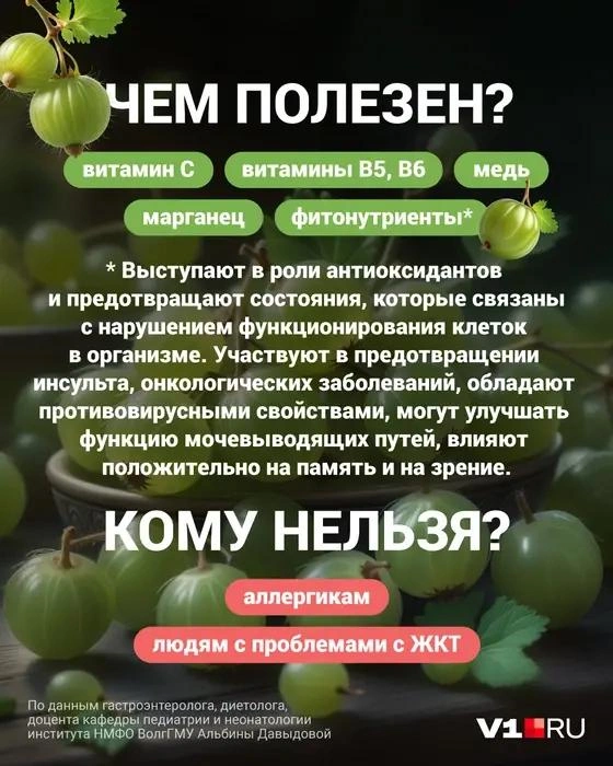 Источник: Полина Авдошина