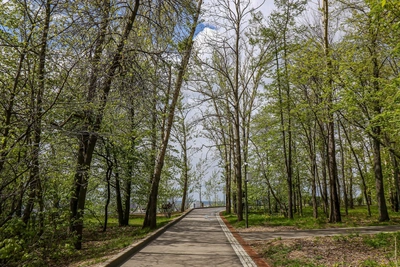 Сегодня решится судьба парка Швейцария на всероссийской премии