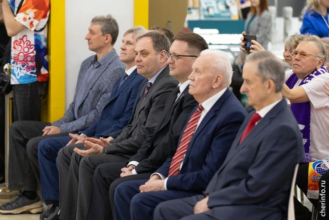 Источник: st.cherinfo.ru