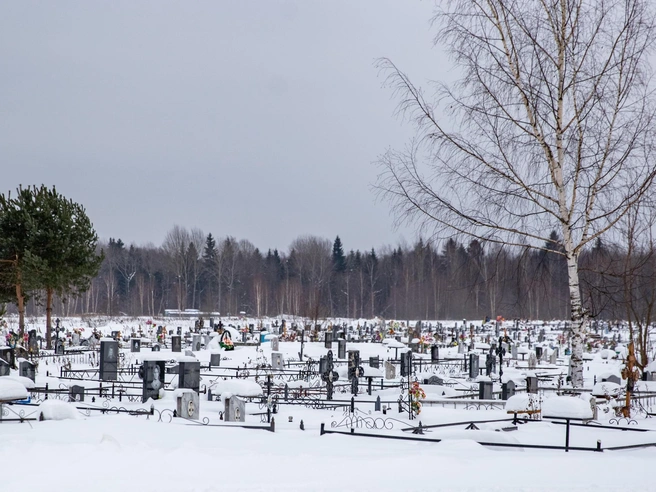 Участкового в Ярославской области подозревают в незаконной передаче сведений о умерших руководителю похоронной службы | Источник: Кирилл Поверинов / 76.RU