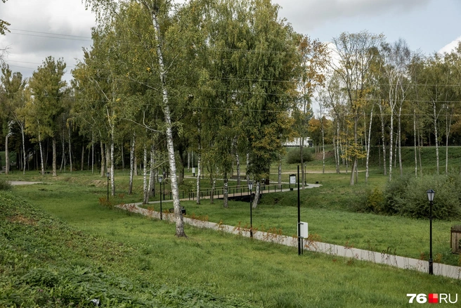Большой парк с березами&nbsp;— одно из мест отдыха в городе | Источник: Александр Куренной / 76.RU