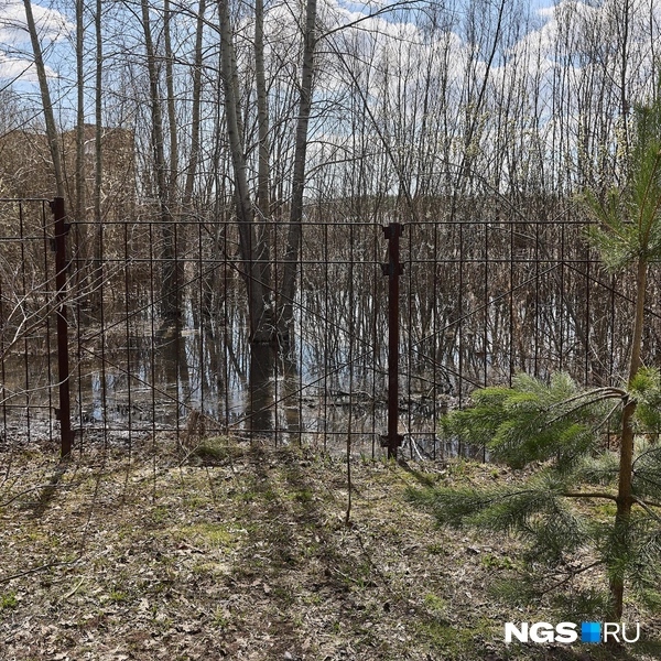 Часть озера окружает забор  | Источник: Александр Ощепков / NGS.RU
