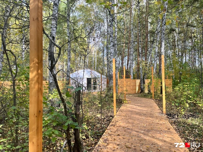 Источник: Анатолий Кузнецов / 72.RU