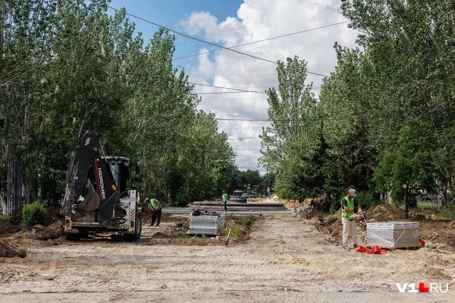 На высадку деревьев и кустарников отводится всего семь рабочих дней | Источник: Алексей Волхонский / V1.RU