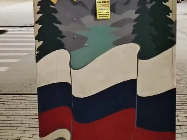 Уже в первые дни часть шкафов покрыли объявлениями | Источник: читатель 74.RU