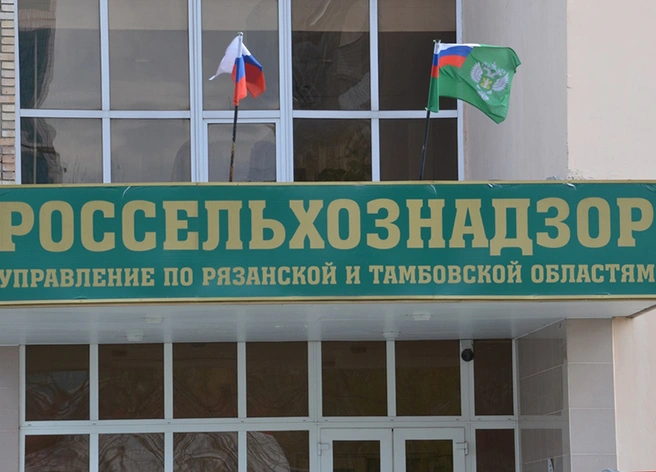 В Рязанской области в черной смородине обнаружили дифеноконазол | ya62.ru