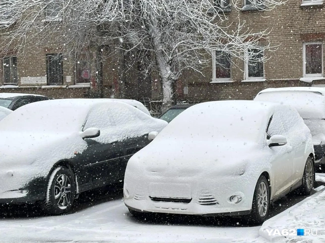 Автомобили тоже засыпало снегом | Источник: Виктория Улитова / YA62.RU