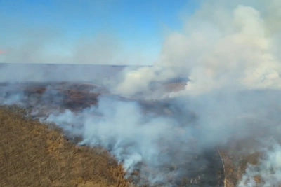 В Приамурье за сутки потушили 32 возгорания