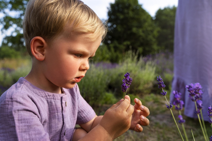 Не только маргаритки и береза: какие растения не стоит выращивать на даче, если у ребенка аллергия