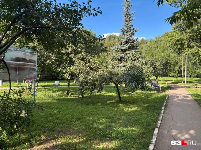Можно прийти на час, а можно задержаться до вечера | Источник: Ксения Бирюкова / 63.RU
