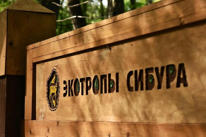 В этом году проект «Экотропы СИБУРа» в Тобольске отмечает свое десятилетие | Источник: «ЗапСибНефтехим»