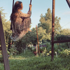 userpic__Потерянная улитка