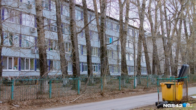 Источник: Лера Городецкая / NGS42.RU
