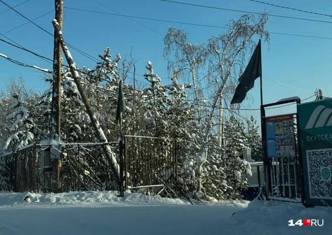 Ворота в парк | Источник: Ольга Донская / 14.RU