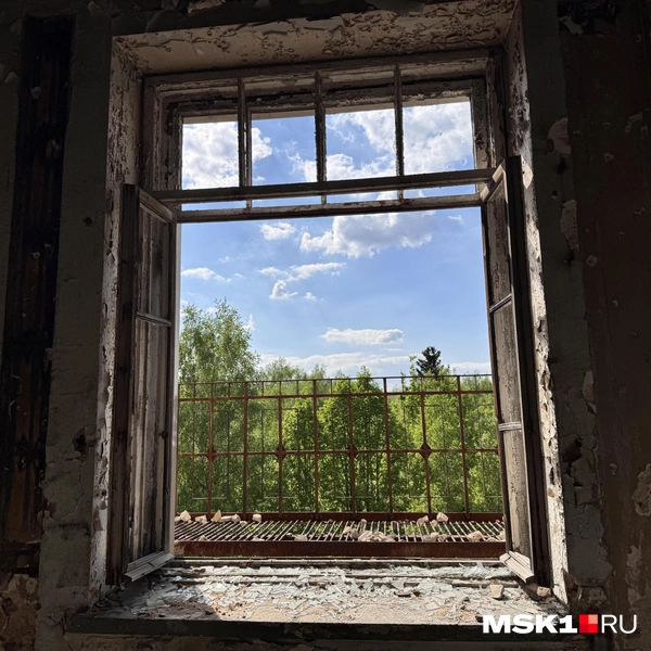 Источник: Алина Мельникова / MSK1.RU