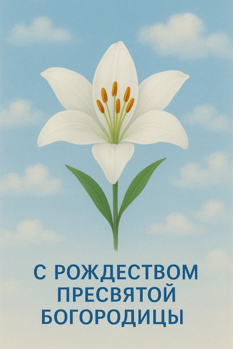Источник: Городские медиа