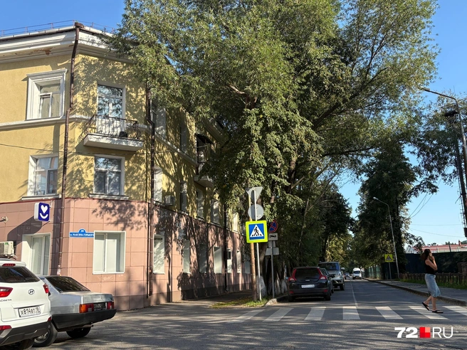 С другой стороны дома деревья остались нетронутыми  | Источник: читатель 72.RU 